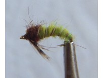 Caddis Larva Bright Green - Size 14